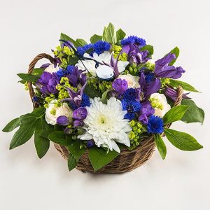 Student i blå og hvid - Send blomster med Bloomit