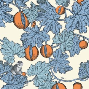Frutto Proibito - Cerulean & Orange