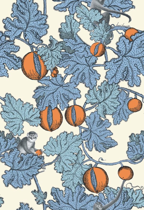 Frutto Proibito - Cerulean & Orange