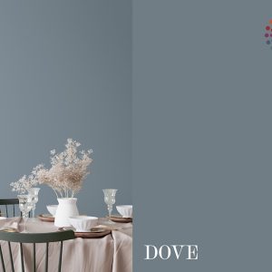 Gebenna Vægmaling: Dove 9 liter
