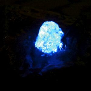 Led lys blå