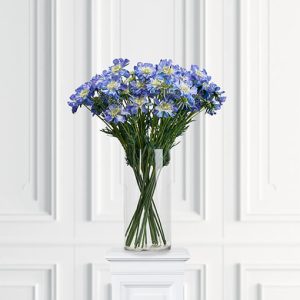Scabiosa – afskåret blomst blå