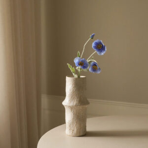 Botané Poppy blomst - blå