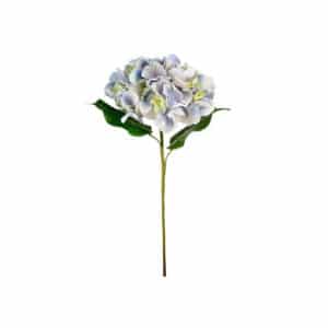 Hortensia snitblomst blå