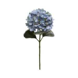 Hortensia – afskåret blomst i blå/grøn