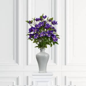 Klematis – afskåret blomst i blå
