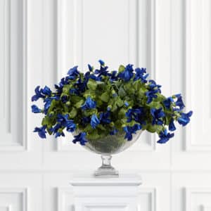 Petunia potteplante blå
