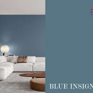 Gebanna Vægmaling: Blue Insignia 9 liter