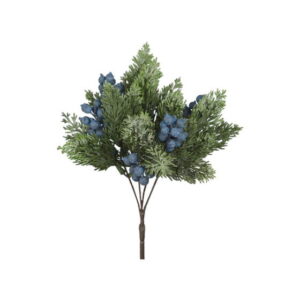 Vinterbær gren med blå bær