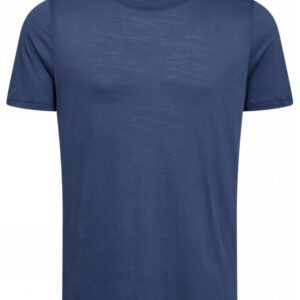 JBS of Denmark t-shirt i uld i blå til herre