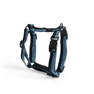 Seletøj til hunde, Medium - blå/sort