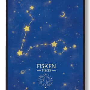 Stjernebillede fisken - blå