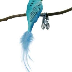 Blå undulat med klips