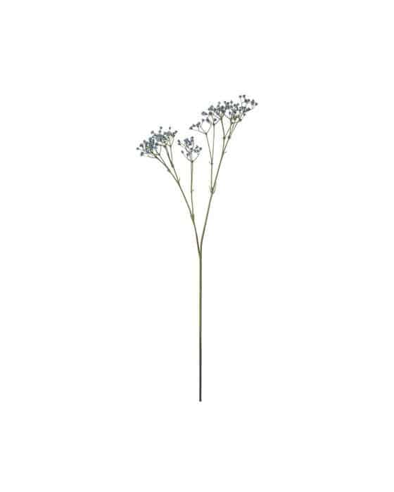Brudeslør afskårne blomster blå