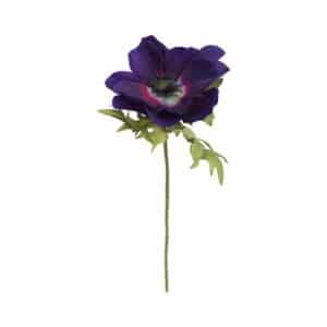 Anemone snitblomst blå