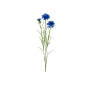 Kornblomst afskåret blomst blå